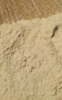کاه  دیم