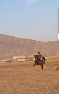 فروش اسب