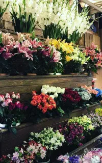 جذب همکار نیمه حرفه ای گل آرا