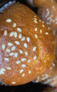 کیک یزدی و کشمشی