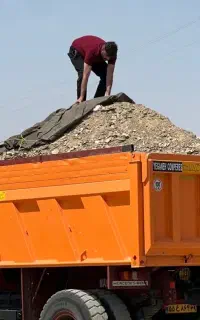 زیل مرغ گوشتی