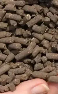 کود مرغی ( ۱۷ عنصره ایران بدون قارچ )