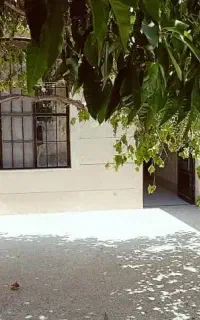 اجاره آپارتمان و ویلایی دربست مولانا