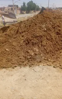 کود حیوانی