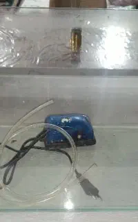 آکواریوم