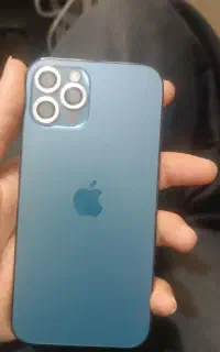 12pro