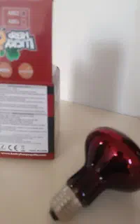 لامپ مادون قرمز