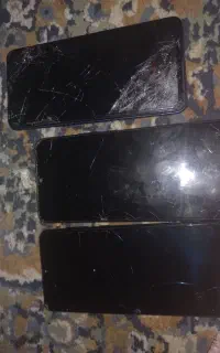 برد گوشی