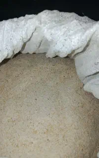 دان آسیاب شده