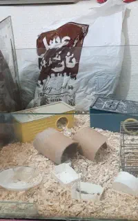 فروش اکواریوم بزرگ