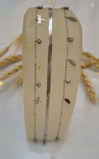 بدلیجات
