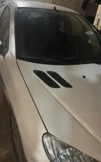 ۲۰۶ اس دی فول