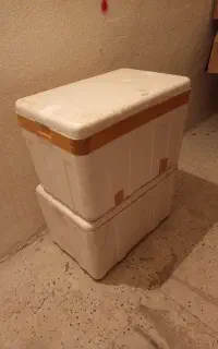 دو عدد کاچو یخدان