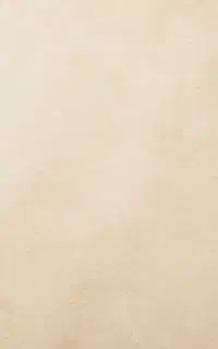 سالندار