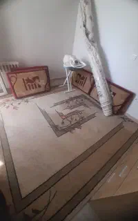 چهار عدد پشتی وفرش