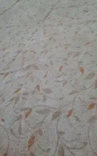 موکت پالاز ۱۲متری پرزدار درحدنو