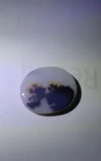 سنگ شجر اصل