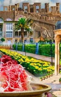 شیراز / تور/اقساطی/بلیت