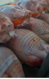 فروشنده