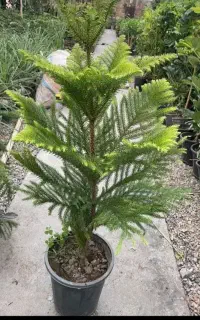 گلخانه مادرچهارشنبه تاجمعه هرهفته واقعا اف داریم