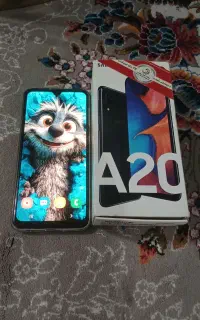 a20