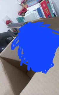 کبوتر پیدا شده