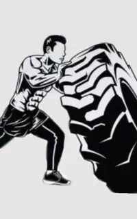 ارائه رژیم های غذایی و برنامه تمرینی