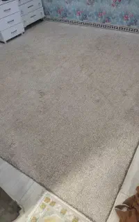 موکت پرزدار ظریف مصور