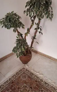 درختچه مصنوعی