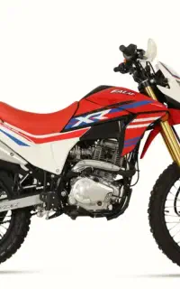 فلات xr250