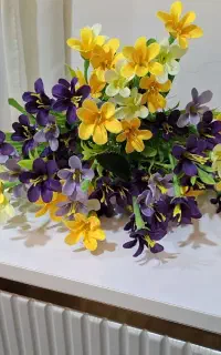 گل بوته ای