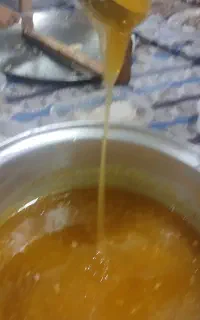 عسل