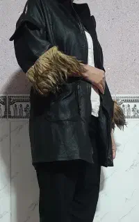 پالتو