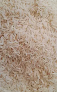 فروش برنج طارم هاشمی درجه یک