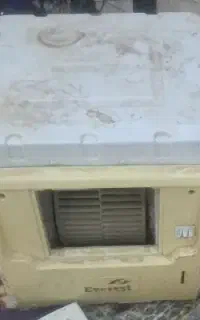 کولر سالم