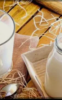 فروش لبنیات عمده