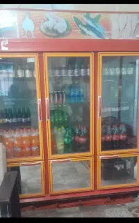 یخجال ایستاده