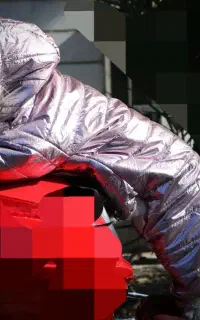کافش وساک سگ وگربه