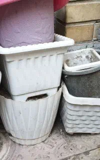 گلدان و گل