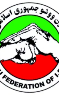 آموزش ووشو بانوان