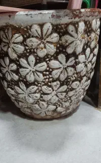 پنج گلدان در حد نو