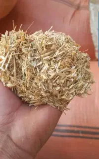 با سلام فروش کاه کاه تمیز
