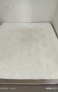 تشک تپی رویال
