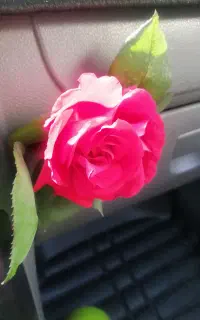 فروش خط تلفن ثابت