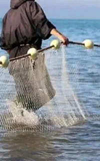 تور ماهیگیری