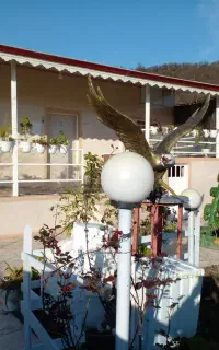 ویلا باغ