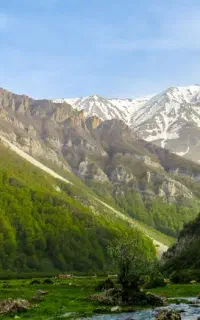 طراحی لوگو  حرفه‌ای توسط متخصص هوش مصنوعی نصف قیمت