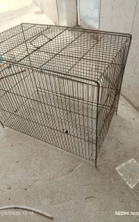 قفس پرنده