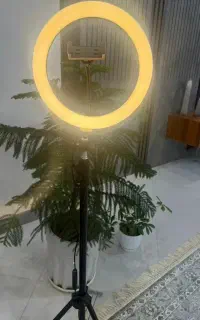 رینگ لایت