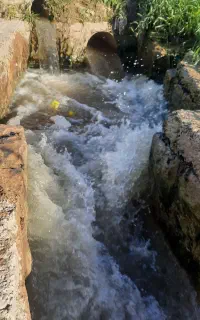 زمین جهت کاشت برنج دارم